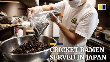 Japan insect enthusiast cooks cricket ramen to promote insect eating