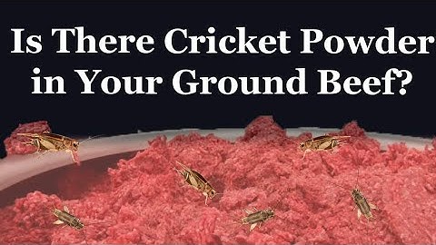 Is There Cricket Powder In Your Ground Beef?